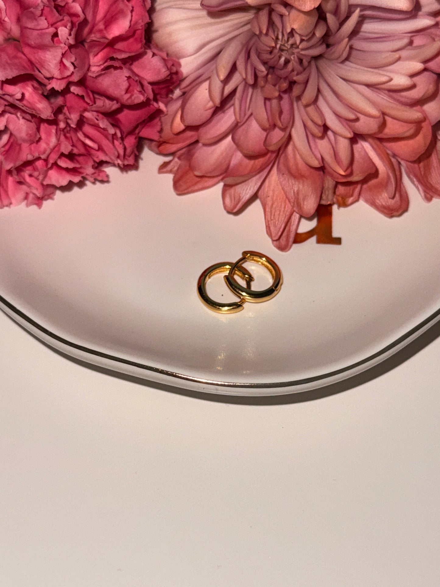 The Everly Hoop